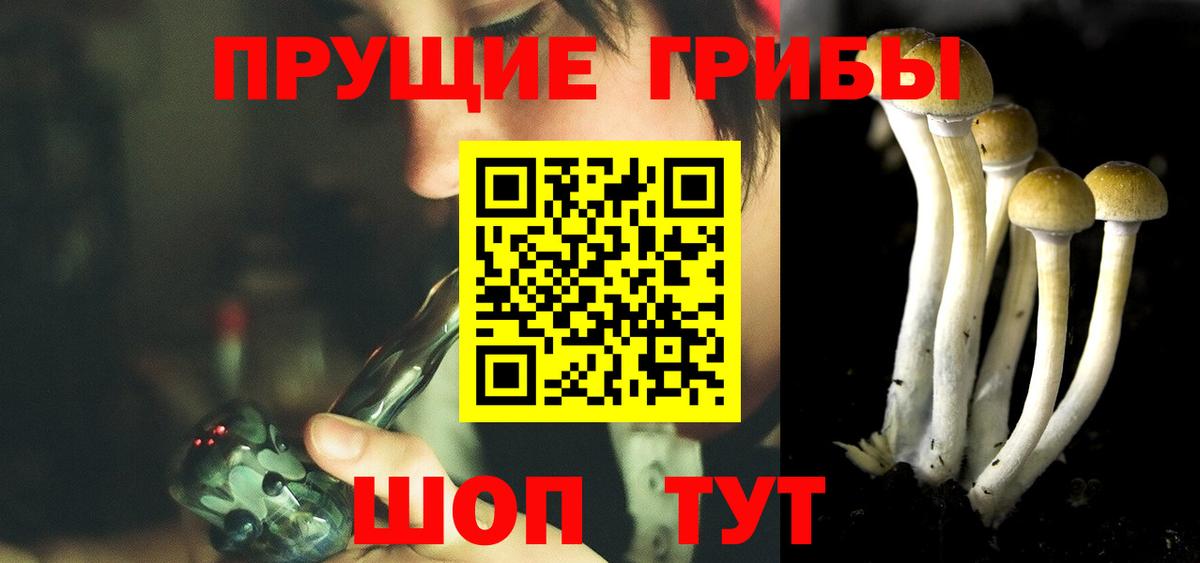 Азов  Псилоцибиновые грибы прущие грибы  Псилоцибиновые грибы Psilocybe  Вход с VPN 