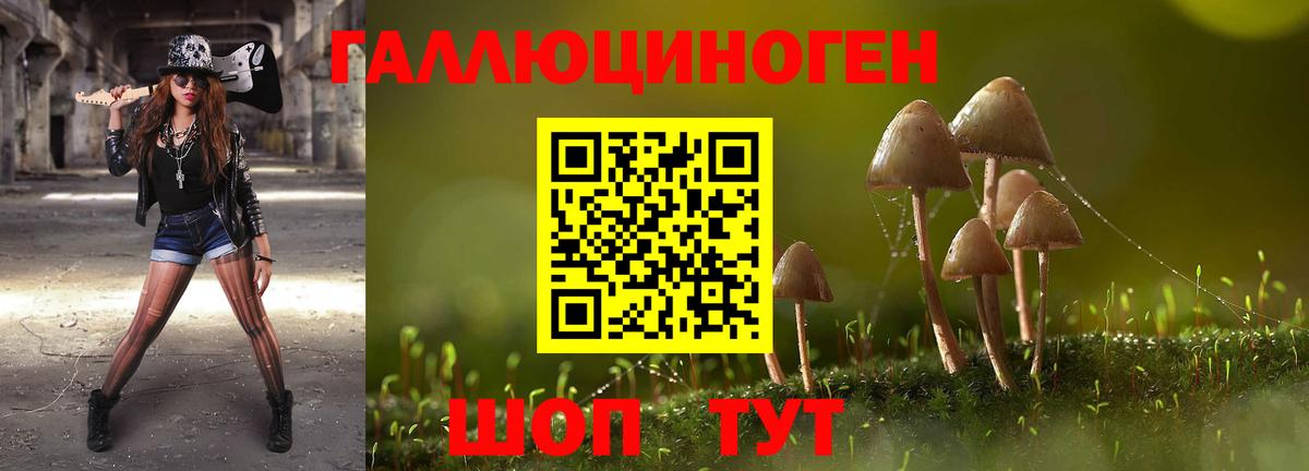 Псилоцибиновые грибы ЛСД Азов
